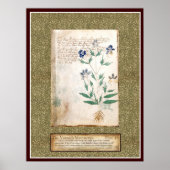 Bord Voynich 18 Poster (Voorkant)