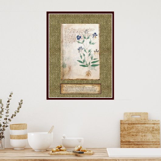 Bord Voynich 18 Poster (Keuken)