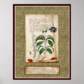 Bord Voynich 19 Poster (Voorkant)