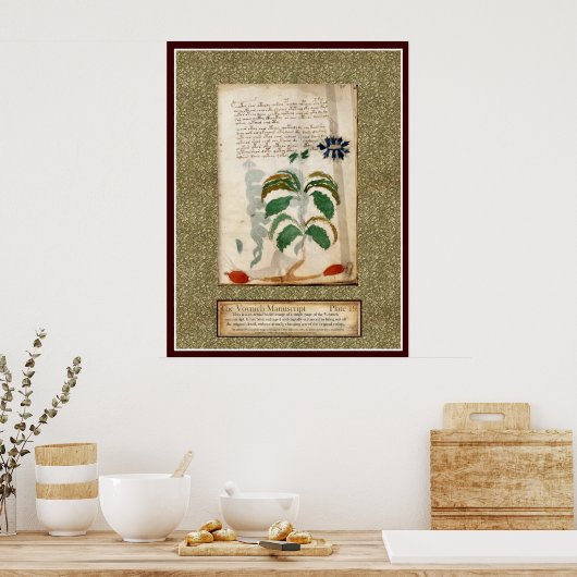 Bord Voynich 19 Poster (Keuken)