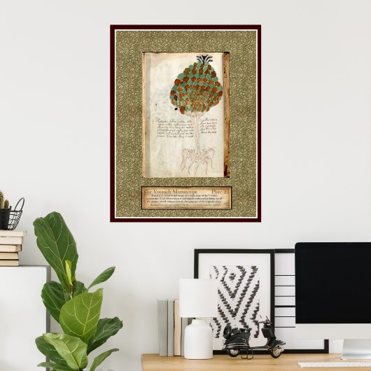 Bord Voynich 22 Poster (Thuiskantoor)