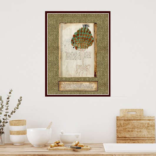 Bord Voynich 22 Poster (Keuken)