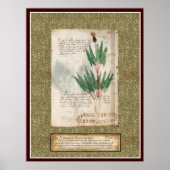 Bord Voynich 25 Poster (Voorkant)