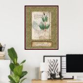 Bord Voynich 25 Poster (Thuiskantoor)