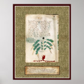 Bord Voynich 27 Poster (Voorkant)