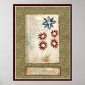 Bord Voynich 30 Poster (Voorkant)