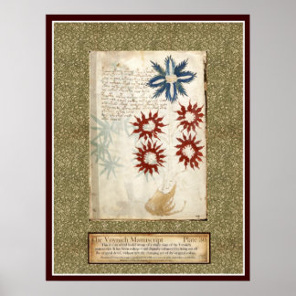 Bord Voynich 30 Poster