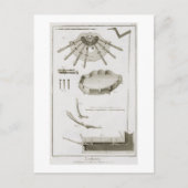 Bord XX: De verspreiding en werking van de pedalen Briefkaart (Voorkant)