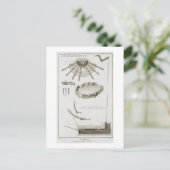 Bord XX: De verspreiding en werking van de pedalen Briefkaart (Staand voorkant)