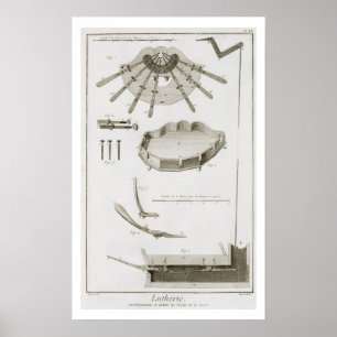 Bord XX: De verspreiding en werking van de pedalen Poster