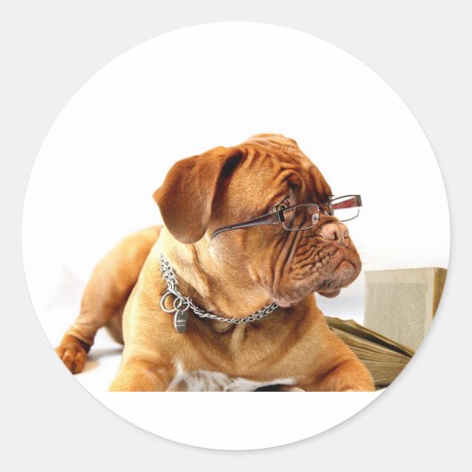 Bordeaux Mastiff, Franse Mastiff Bordeauxdog Gift Ronde Sticker (Voorkant)