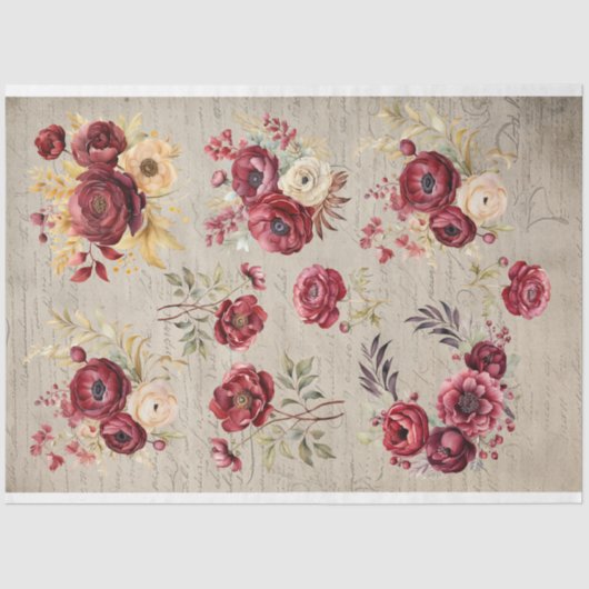  bordeaux Ranunculus bloeit oud papier (Voorkant)