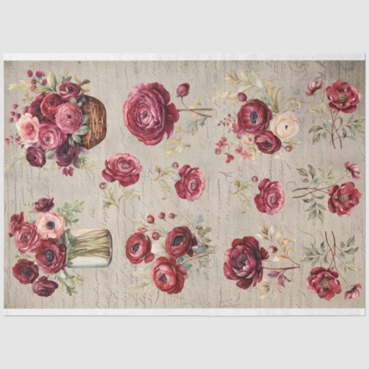 bordeaux Ranunculus bloeit oud papier (Voorkant)