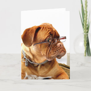 Bordeauxdog Feestdagen Kaart