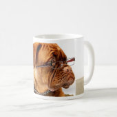 Bordeauxdog Koffiemok (Voorkant rechts)