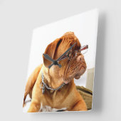 Bordeauxdog Vierkante Klok (Hoek)