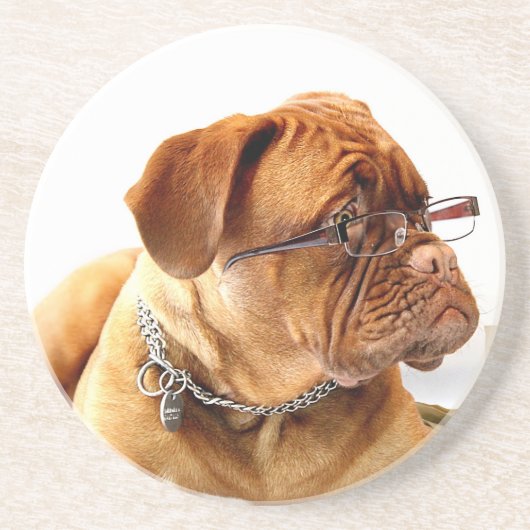 Bordeauxdog Zandsteen Onderzetter (Voorkant)