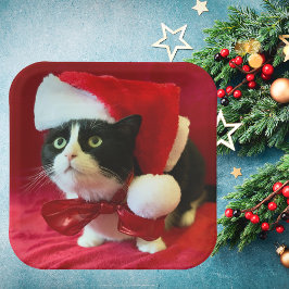 Borden met kerstmis van Tuxedo Cat Papieren Bordje