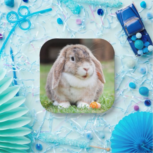 Borden met klauterhaver papieren bordje (Feest)