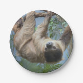 Borden met sleufpapier papieren bordje (Voorkant)