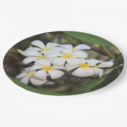 borden met tropische bloemen, plumeria papieren bordje (Gekanteld)
