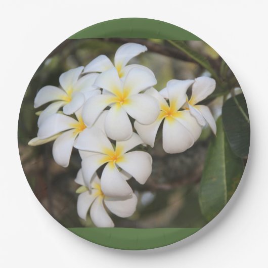 borden met tropische bloemen, plumeria papieren bordje (Voorkant)