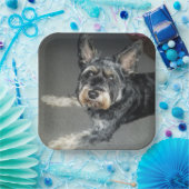 borden papieren bordje (Feest)