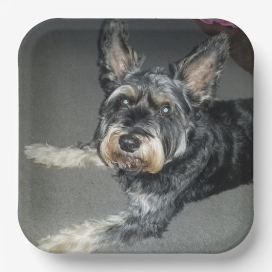 borden papieren bordje (Voorkant)