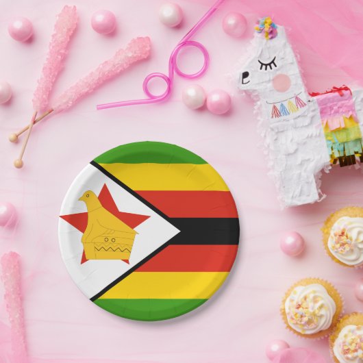 Borden, partij, sport, Zimbabwe Papieren Bordje (Feest)