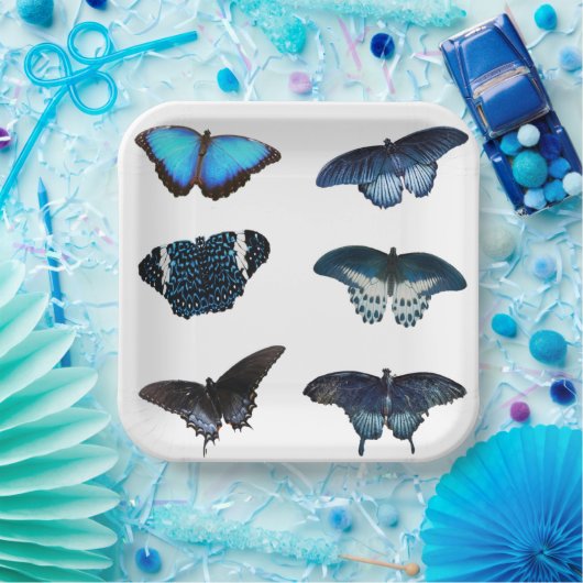 Borden van blauw vlinderpapier papieren bordje (Feest)