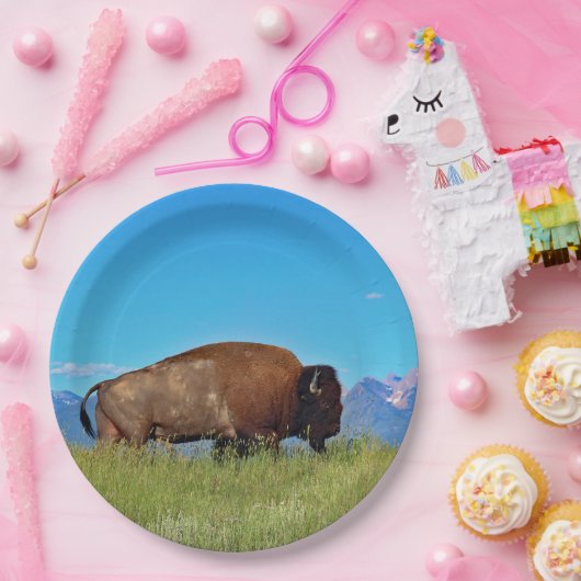 Borden van buffelpapier papieren bordje (Feest)