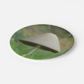 Borden van conocmay rickenii Mushroom Papieren Bordje (Gekanteld)