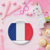 Borden van de Franse partij Papieren Bordje (Feest)