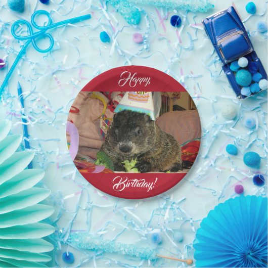 Borden van grondhog Moses Birthday Paper Papieren Bordje (Feest)