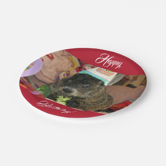 Borden van grondhog Moses Birthday Paper Papieren Bordje (Gekanteld)