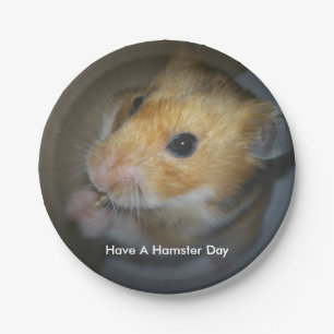 Borden van hamsterpapier papieren bordje