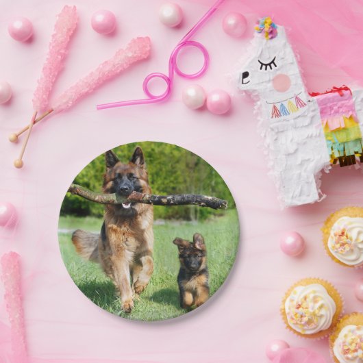 Borden van het Duitse Shepherd Paper Papieren Bordje (Feest)