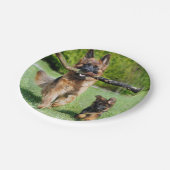 Borden van het Duitse Shepherd Paper Papieren Bordje (Gekanteld)