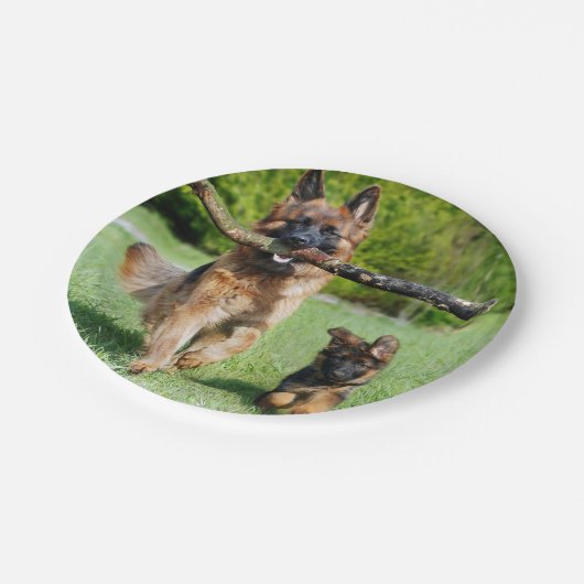 Borden van het Duitse Shepherd Paper Papieren Bordje (Gekanteld)