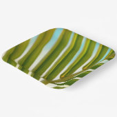 Borden van kokosbladpapier papieren bordje (Gebogen)