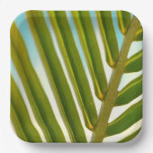 Borden van kokosbladpapier papieren bordje (Voorkant)