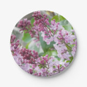 Borden van lila lentepapier papieren bordje (Voorkant)