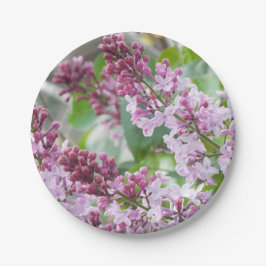 Borden van lila lentepapier papieren bordje