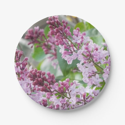 Borden van lila lentepapier papieren bordje (Voorkant)