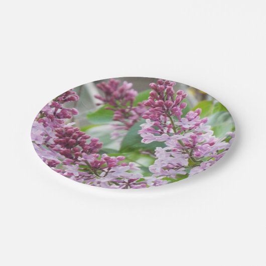 Borden van lila lentepapier papieren bordje (Gekanteld)