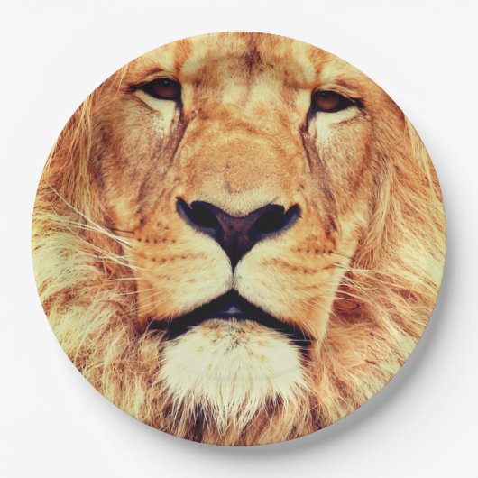 Borden van lippenpapier papieren bordje (Voorkant)