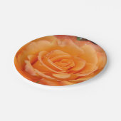borden van Oranje roos Papieren Bordje (Gekanteld)