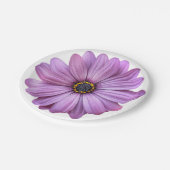 Borden van Paarse Daisy Party Paper Papieren Bordje (Gekanteld)