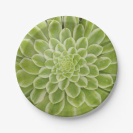 Borden van Succulent papier Papieren Bordje
