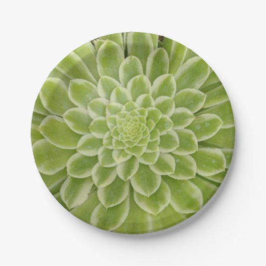 Borden van Succulent papier Papieren Bordje (Voorkant)